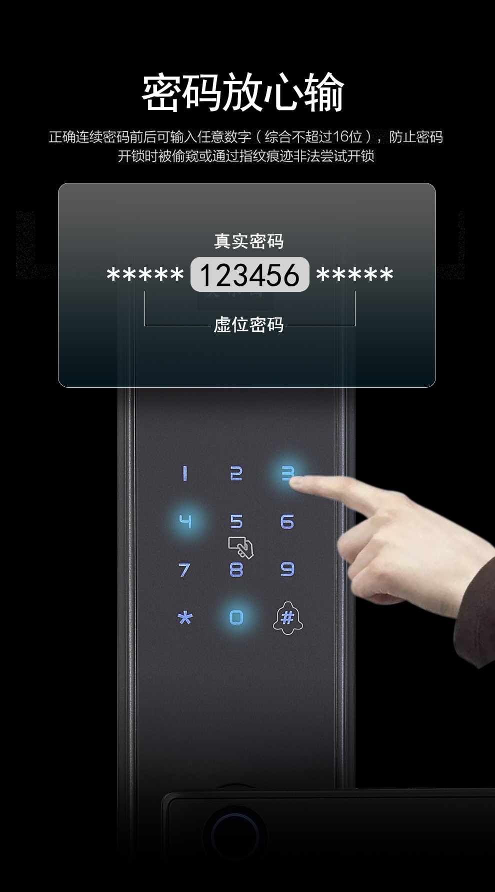 HZ-8818(图6)