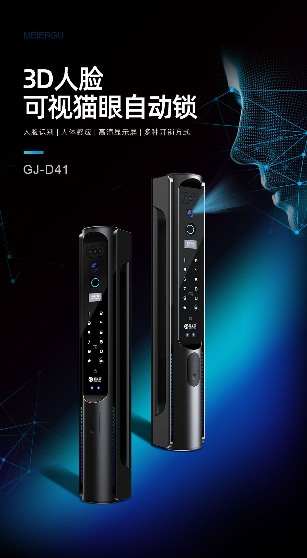 GJ-D41(图1)